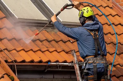 Démoussage et hydrofuge de toiture à Felleries
